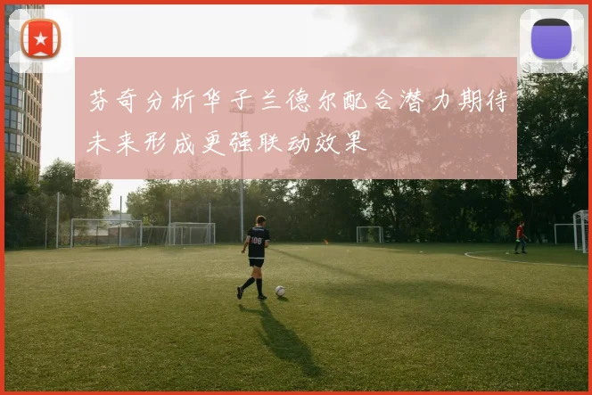 芬奇分析华子兰德尔配合潜力期待未来形成更强联动效果
