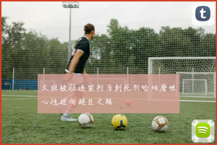 文班被驱逐宣判马刺死刑哈珀磨练心性迈向超巨之路